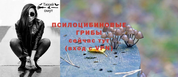 стафф Няндома