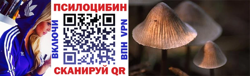 Псилоцибиновые грибы ЛСД  где купить наркоту  shop наркотические препараты  Миньяр 